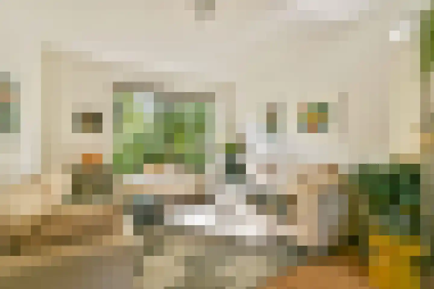 Carel Fabritiuslaan 36 Amstelveen thumbnail 8