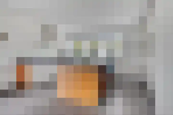Carel Fabritiuslaan 39 Yerseke thumbnail 16