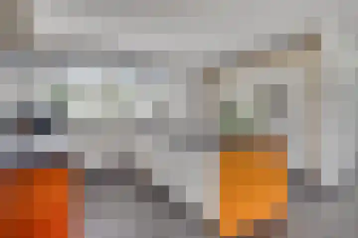 Carel Fabritiuslaan 39 Yerseke thumbnail 17