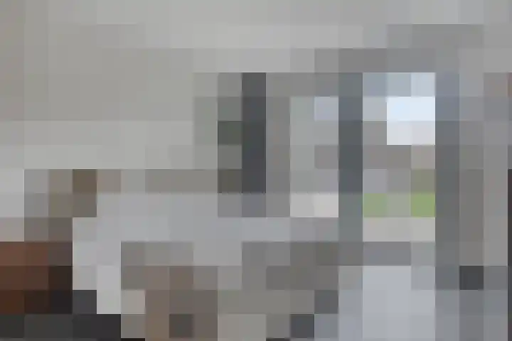 Carel Fabritiuslaan 39 Yerseke thumbnail 20