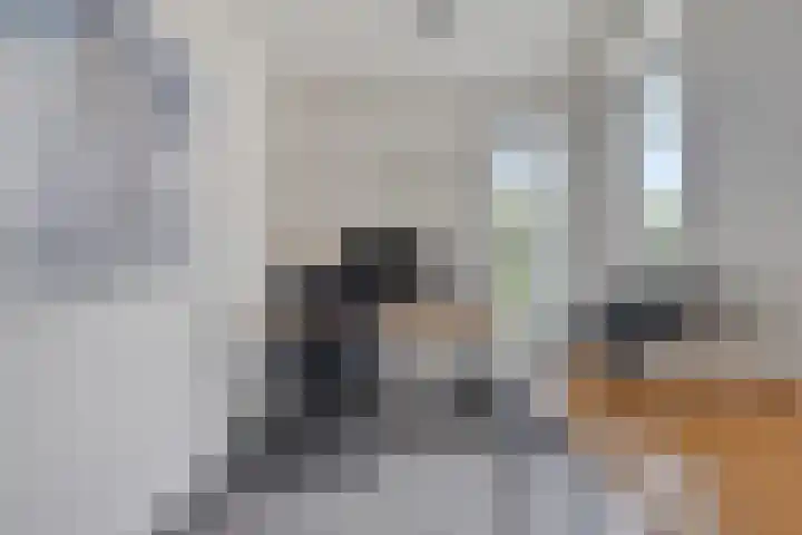 Carel Fabritiuslaan 39 Yerseke thumbnail 25