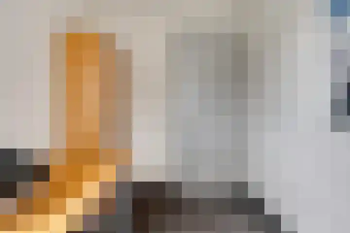 Carel Fabritiuslaan 39 Yerseke thumbnail 26