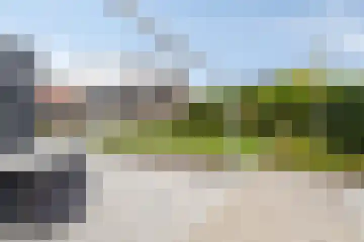 Carel Fabritiuslaan 39 Yerseke thumbnail 39
