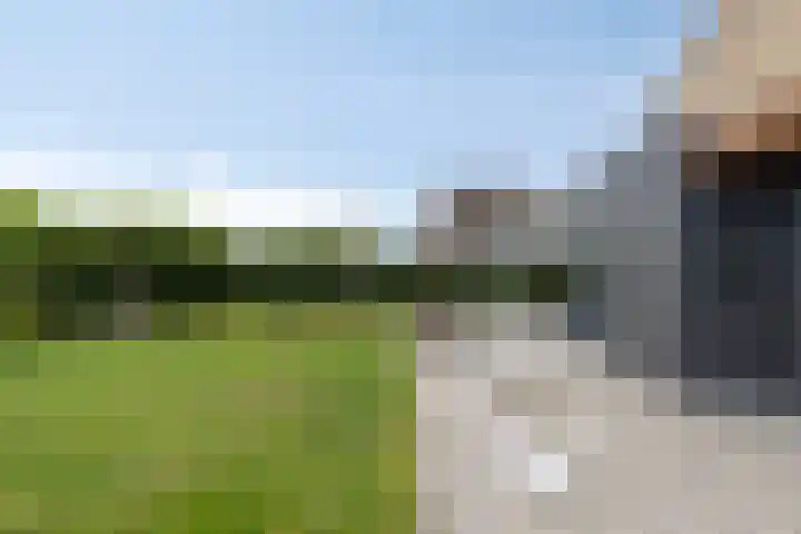 Carel Fabritiuslaan 39 Yerseke thumbnail 41