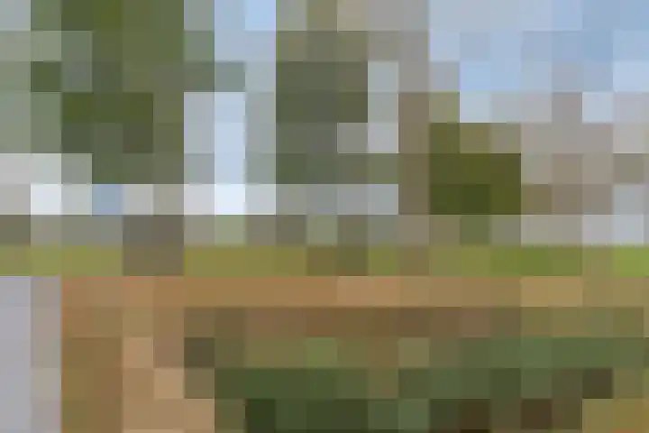 Carel Fabritiuslaan 39 Yerseke thumbnail 44