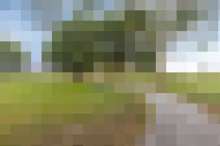 Carel Fabritiuslaan 39 Yerseke thumbnail 47
