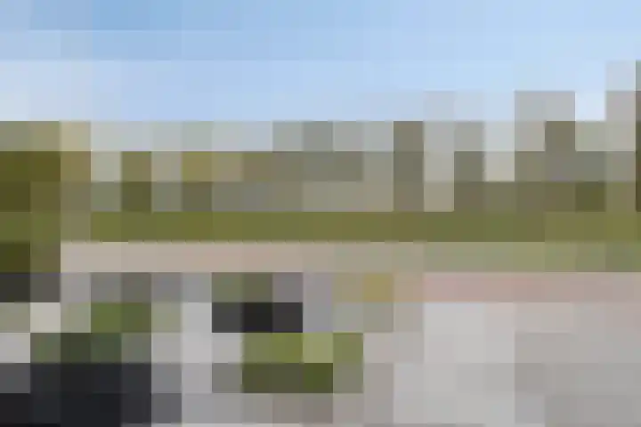 Carel Fabritiuslaan 39 Yerseke thumbnail 6