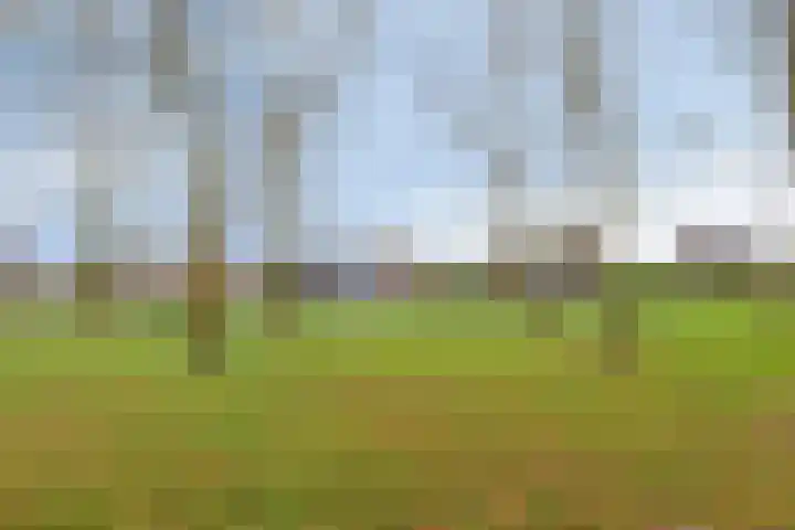 Carel Fabritiuslaan 39 Yerseke thumbnail 7