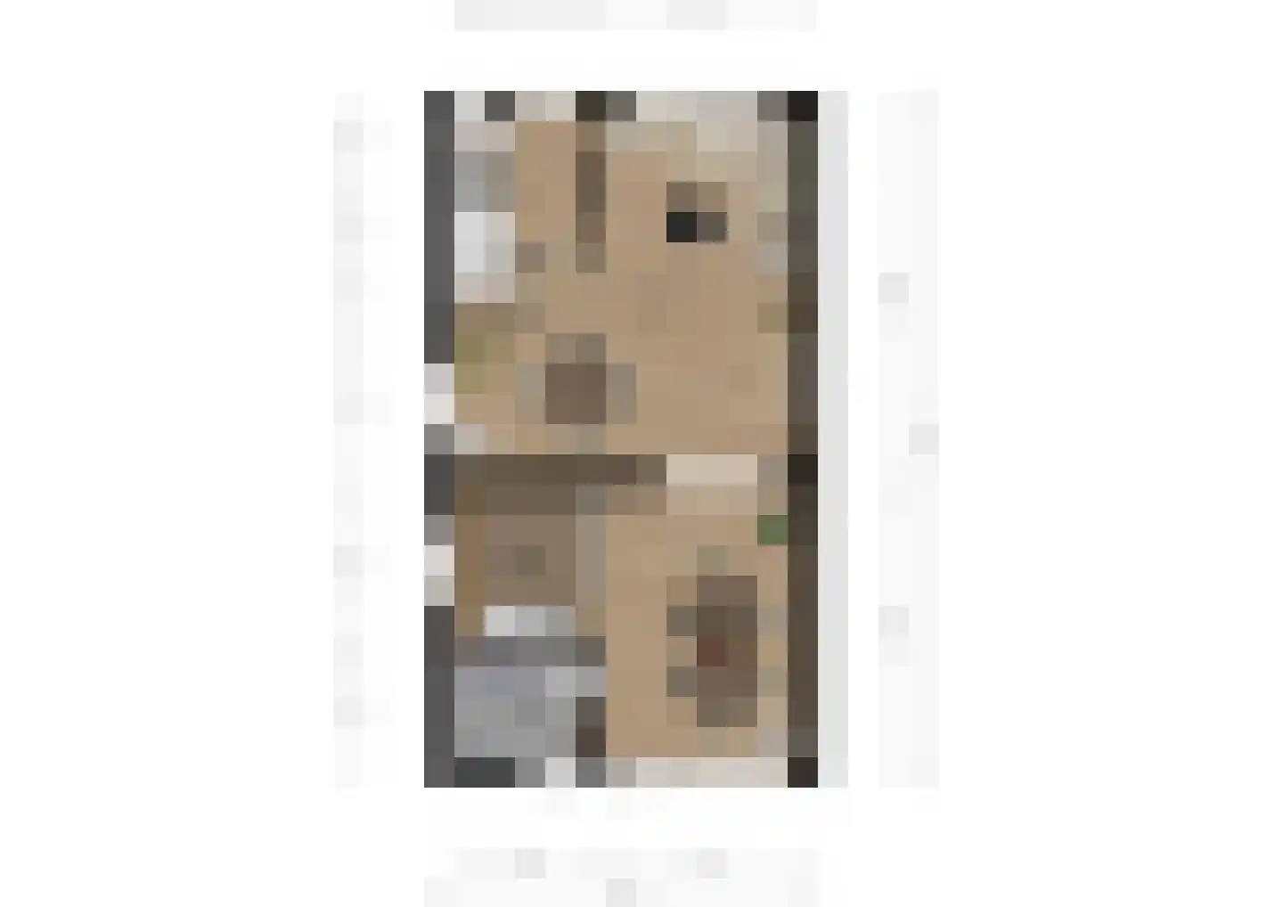 Carel Fabritiusstraat 15 Brunssum thumbnail 31