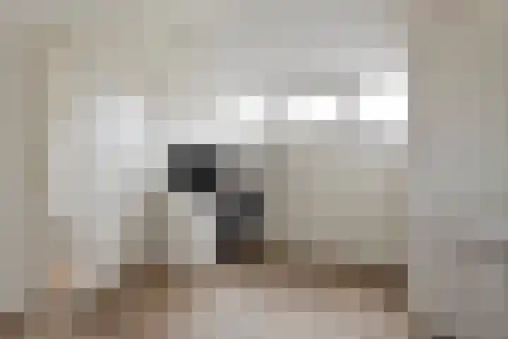 Carel Fabritiusstraat 32 Haaksbergen thumbnail 31