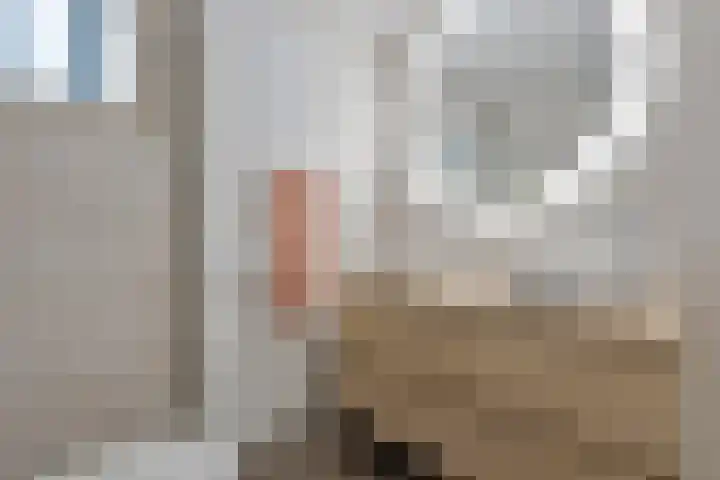 Carel Fabritiusstraat 32 Haaksbergen thumbnail 4