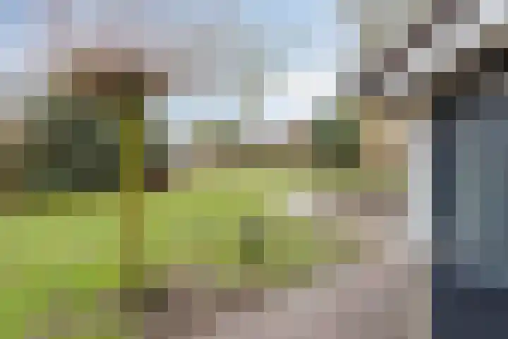 Carel Fabritiusstraat 32 Haaksbergen thumbnail 8
