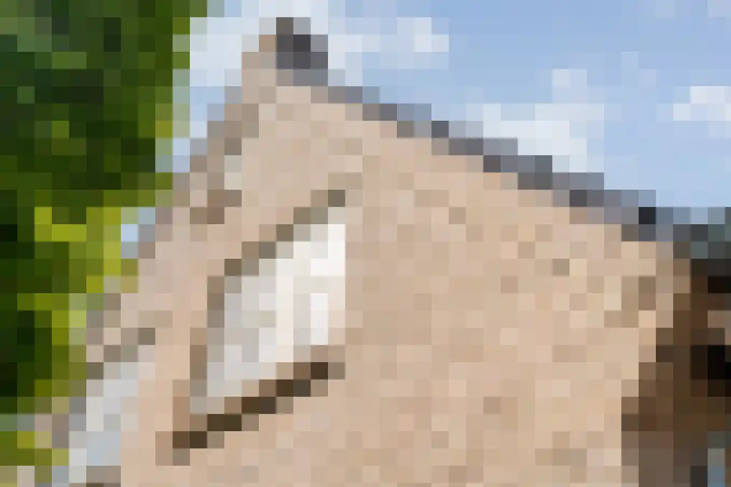Carel Fabritiusstraat 5 Ommen thumbnail 10
