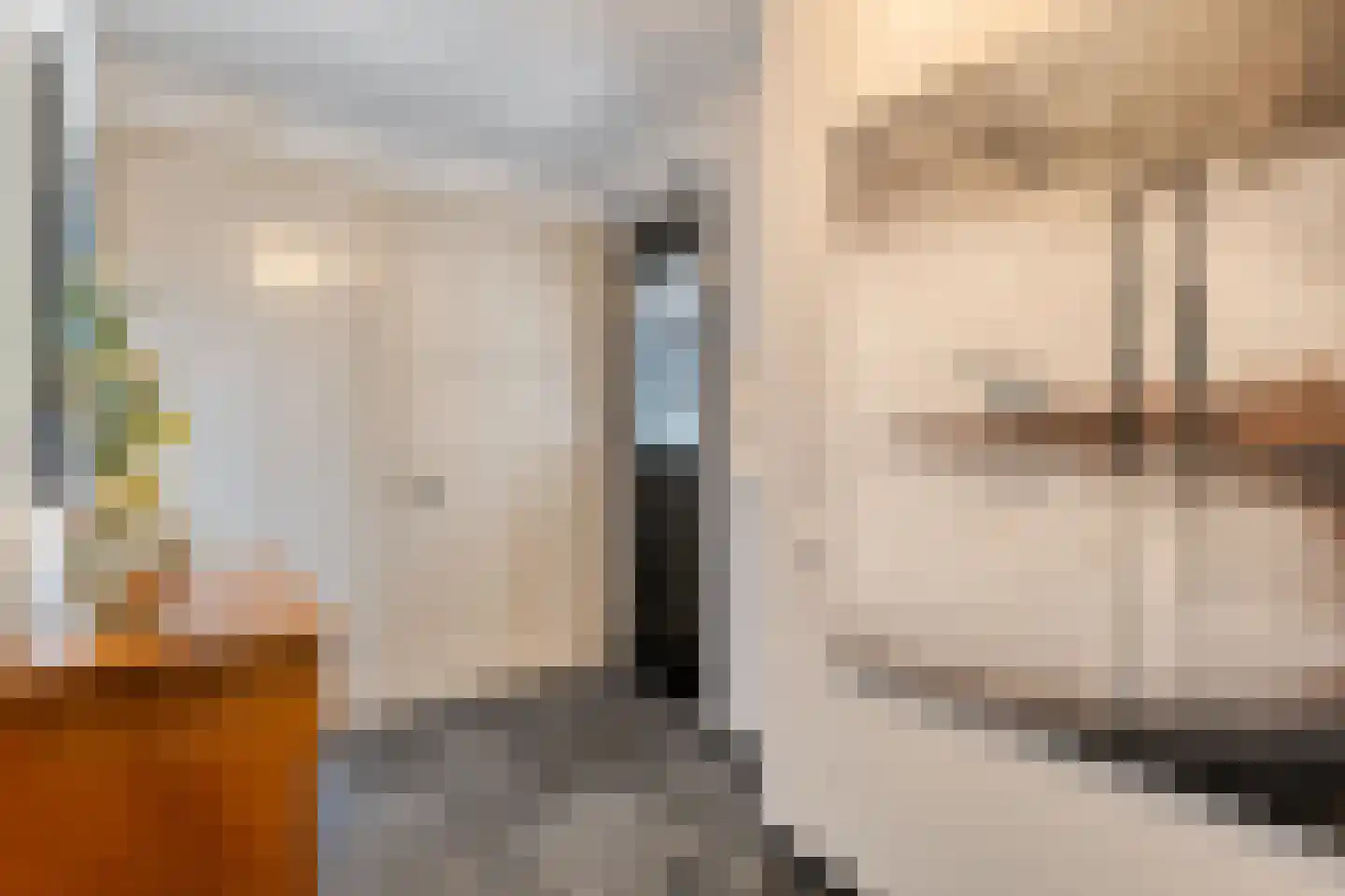 Carel Fabritiusstraat 5 Ommen thumbnail 17
