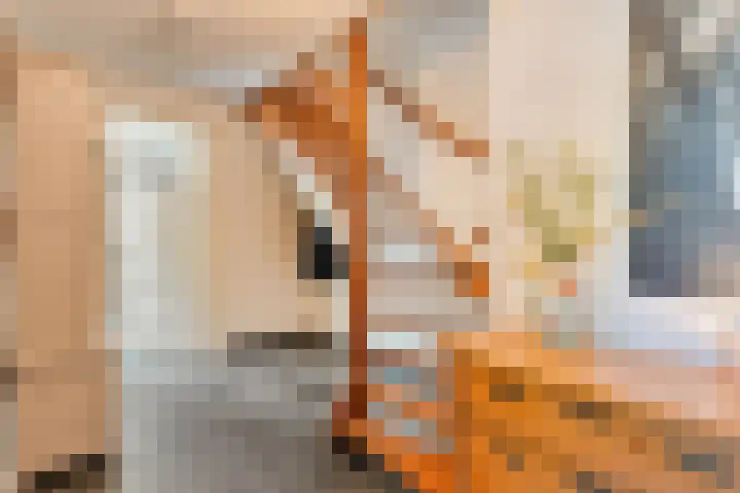 Carel Fabritiusstraat 5 Ommen thumbnail 18