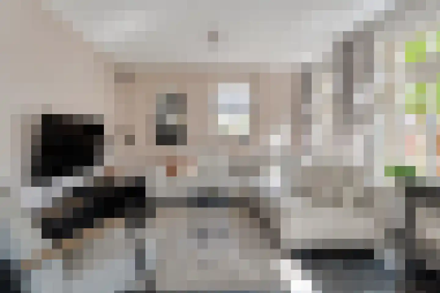 Carel Fabritiusstraat 5 Ommen thumbnail 21