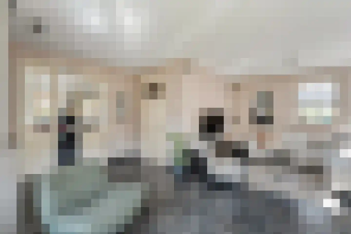 Carel Fabritiusstraat 5 Ommen thumbnail 25
