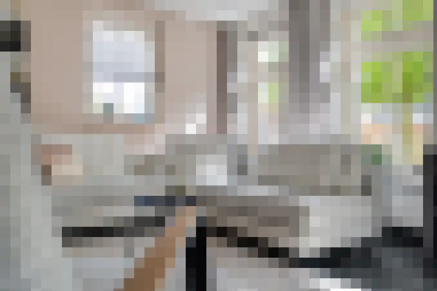 Carel Fabritiusstraat 5 Ommen thumbnail 26