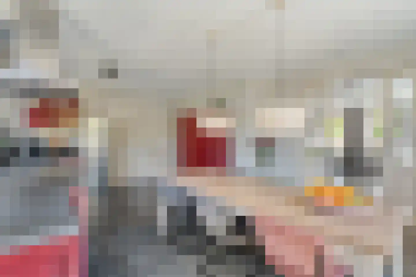 Carel Fabritiusstraat 5 Ommen thumbnail 30