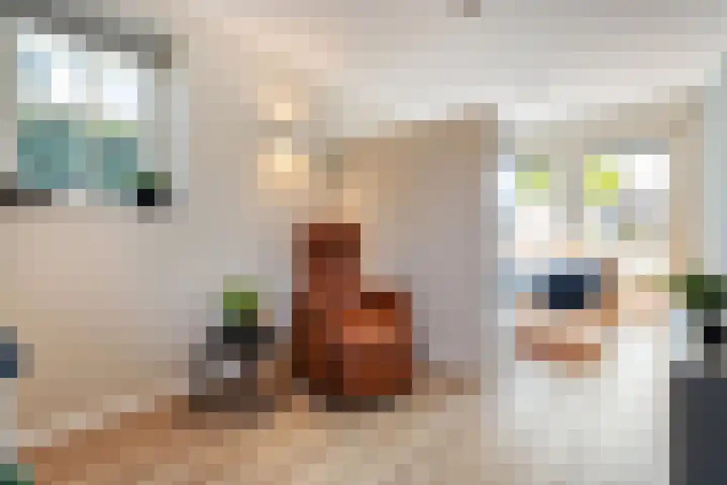 Carel Fabritiusstraat 5 Ommen thumbnail 39