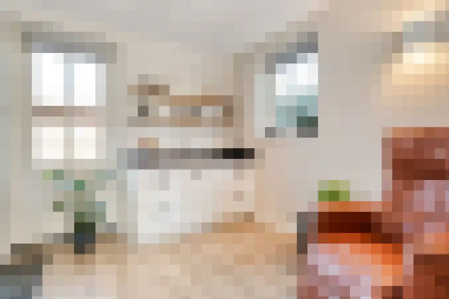 Carel Fabritiusstraat 5 Ommen thumbnail 40