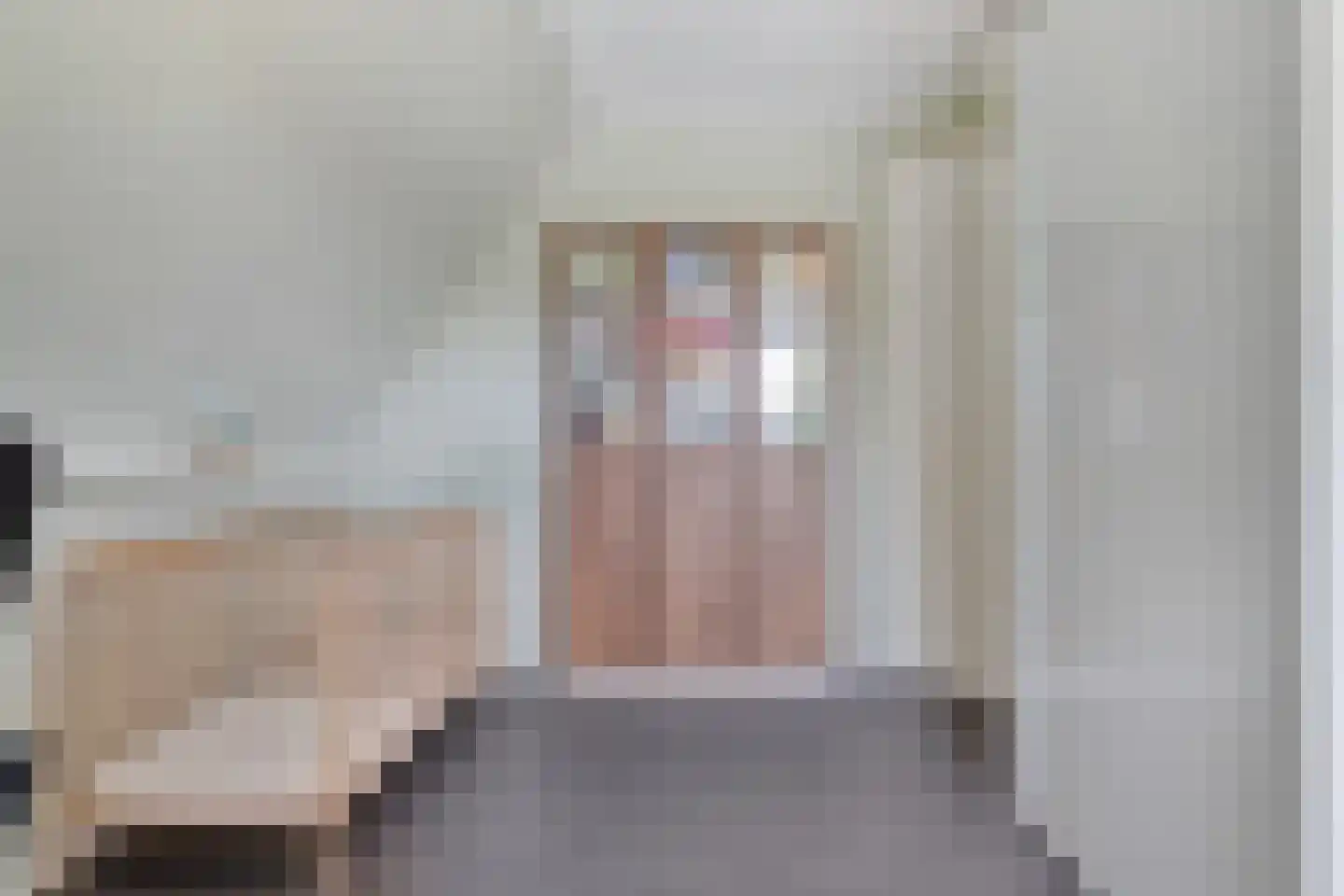 Carel Fabritiusstraat 5 Ommen thumbnail 51