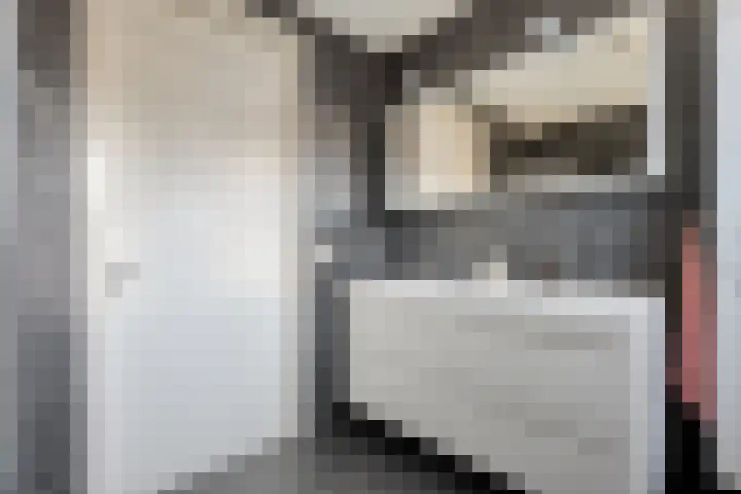 Carel Fabritiusstraat 5 Ommen thumbnail 61