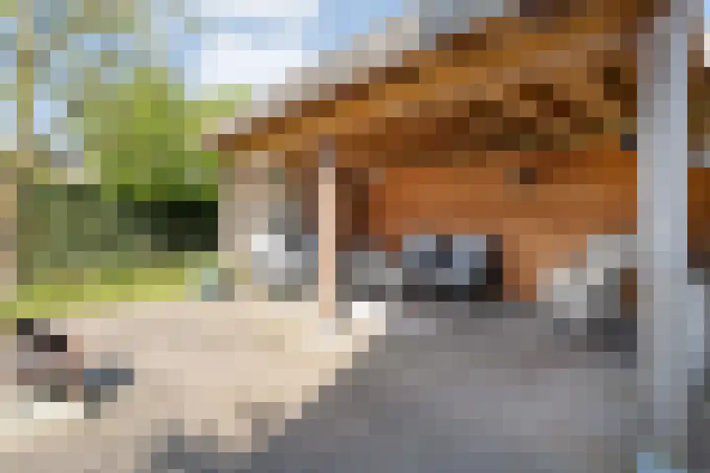 Carel Fabritiusstraat 5 Ommen thumbnail 73