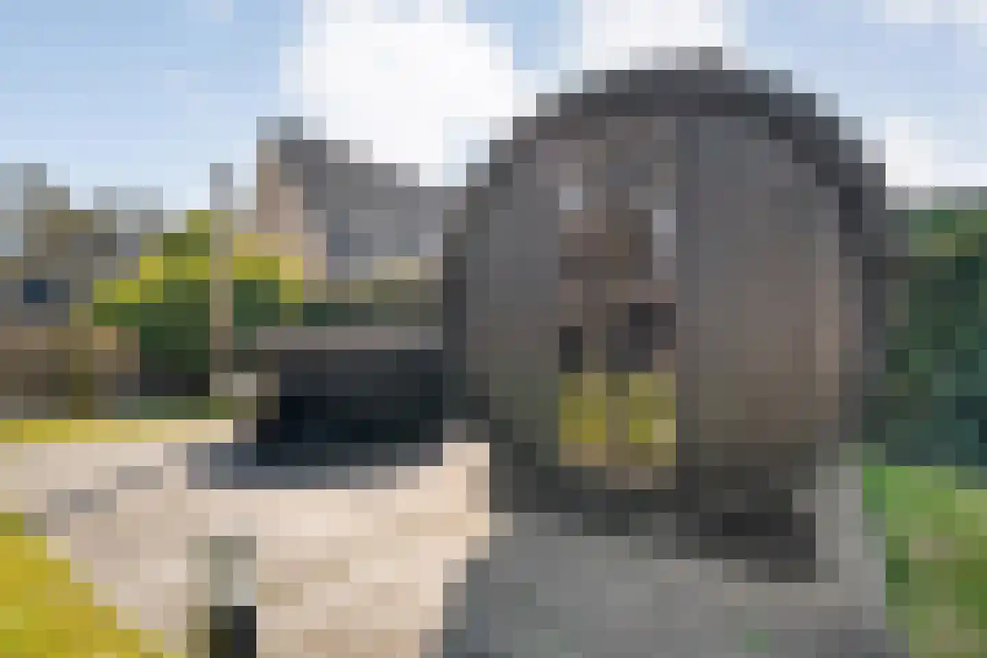 Carel Fabritiusstraat 5 Ommen thumbnail 77