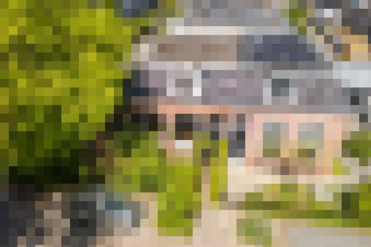 Carel Fabritiusstraat 8 Leeuwarden thumbnail 44