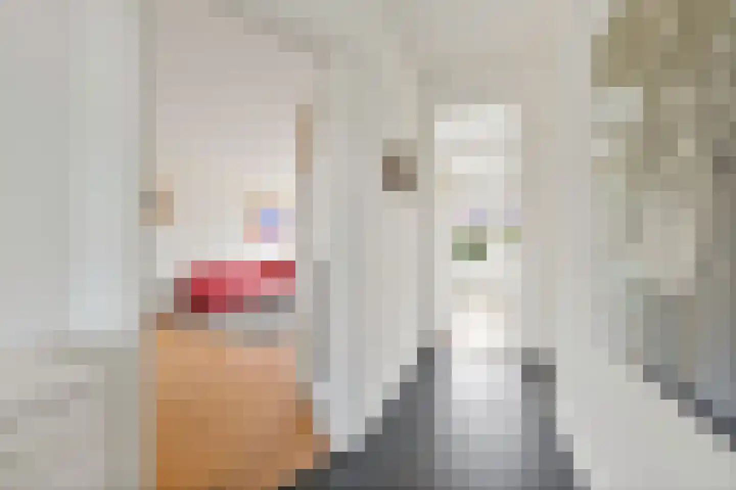 Carel Reinierszkade 137 Den Haag thumbnail 22