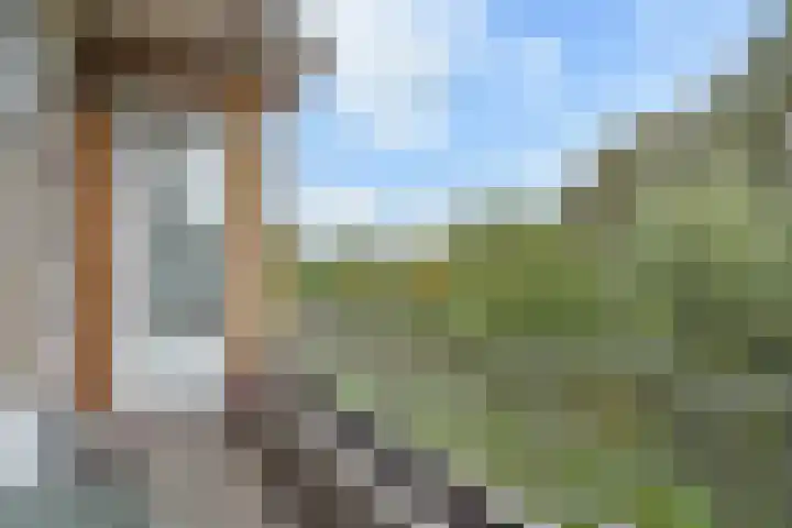 Carel Reinierszkade 167 Den Haag thumbnail 17