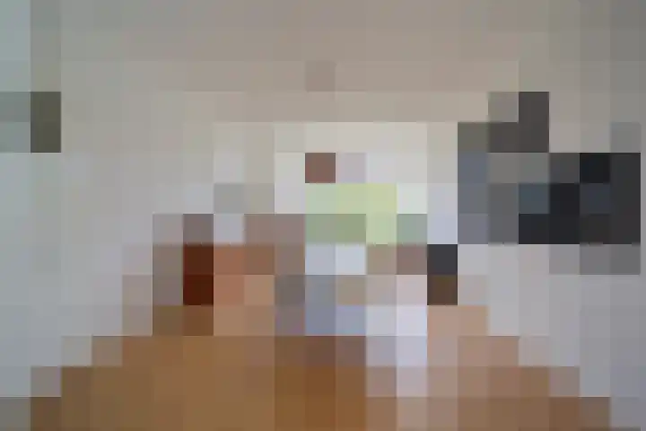 Carel Reinierszkade 259 Den Haag thumbnail 11
