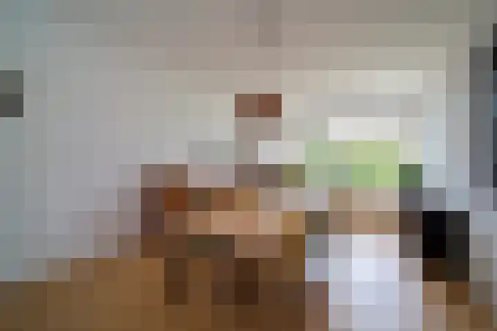 Carel Reinierszkade 259 Den Haag thumbnail 12