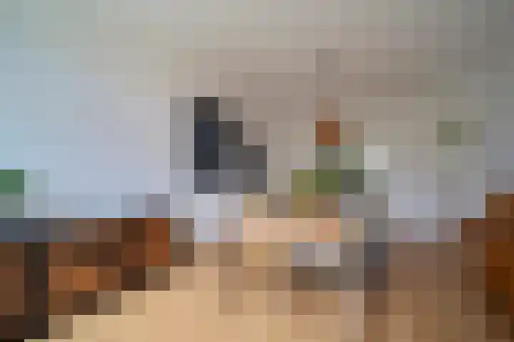Carel Reinierszkade 259 Den Haag thumbnail 13