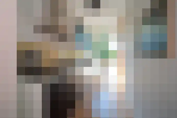 Carel Reinierszkade 259 Den Haag thumbnail 15