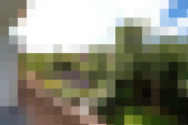 Carel Reinierszkade 259 Den Haag thumbnail 17