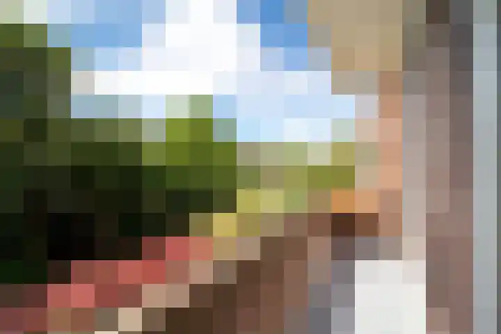 Carel Reinierszkade 259 Den Haag thumbnail 18