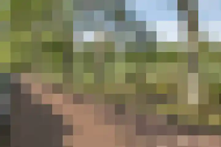 Carel Reinierszkade 259 Den Haag thumbnail 33