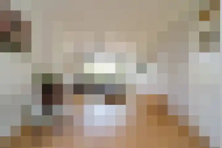 Carel Reinierszkade 259 Den Haag thumbnail 4