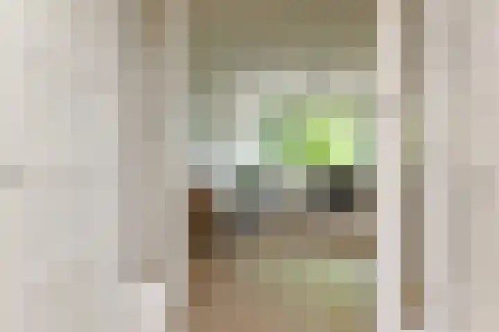 Carel Reinierszkade 277 Den Haag thumbnail 10