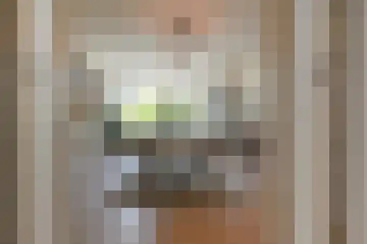 Carel Reinierszkade 277 Den Haag thumbnail 12