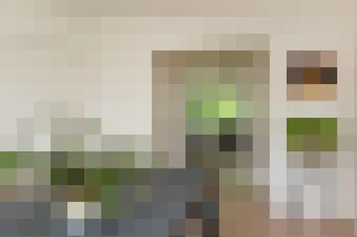 Carel Reinierszkade 277 Den Haag thumbnail 19