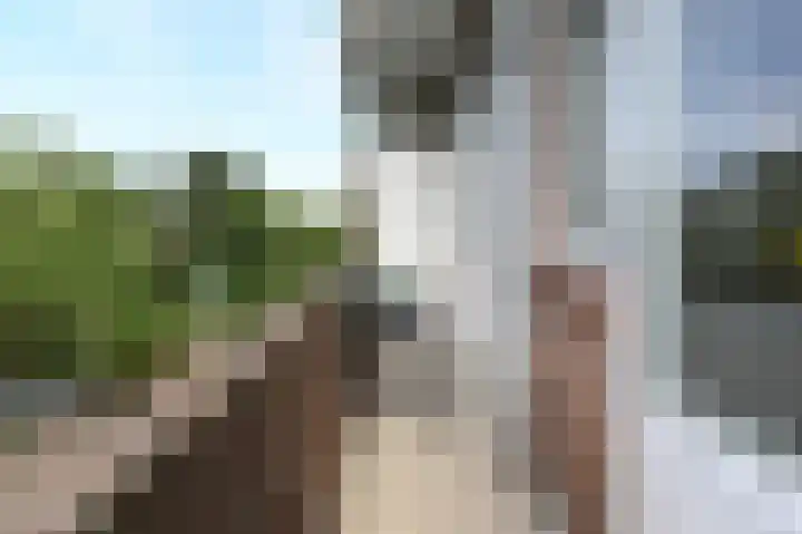 Carel Reinierszkade 277 Den Haag thumbnail 24
