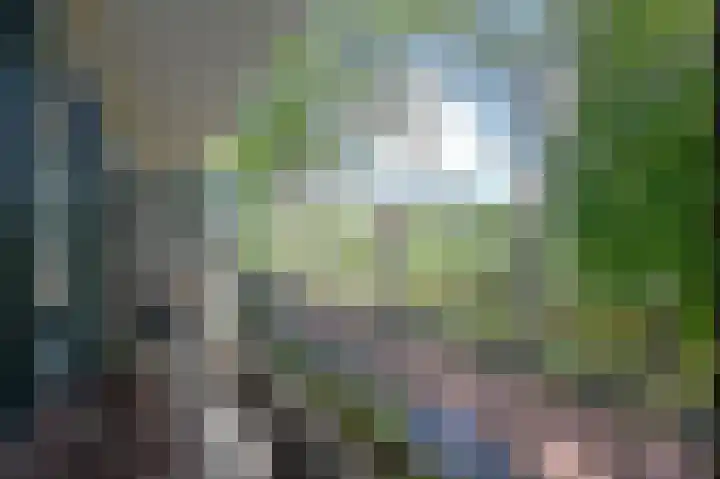 Carel Reinierszkade 277 Den Haag thumbnail 43