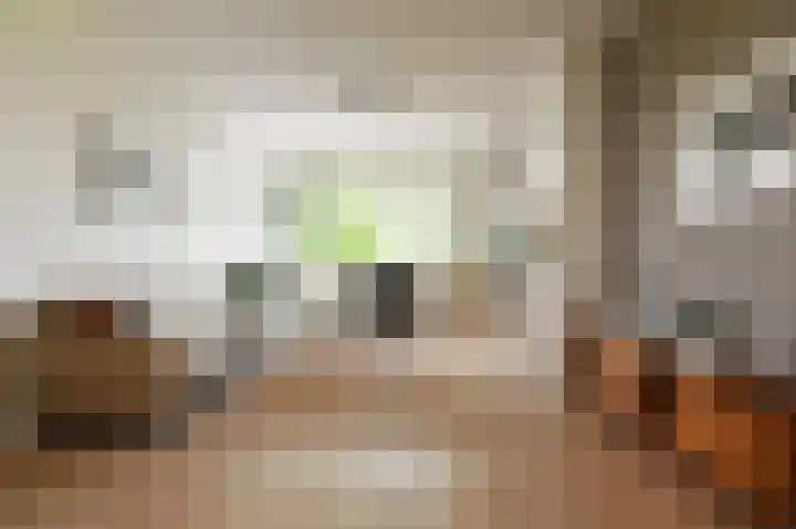 Carel Reinierszkade 277 Den Haag thumbnail 6