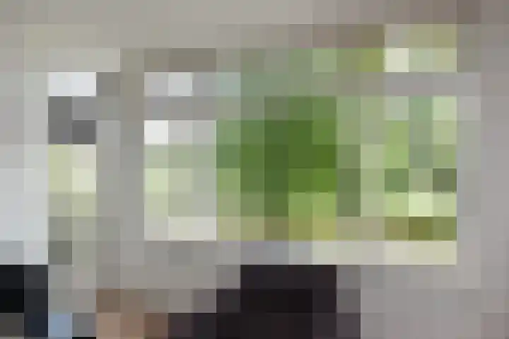 Carel Reinierszkade 277 Den Haag thumbnail 8