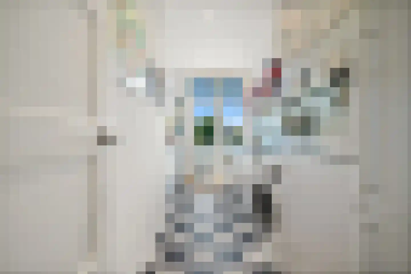 Carel Reinierszkade 299 Den Haag thumbnail 15
