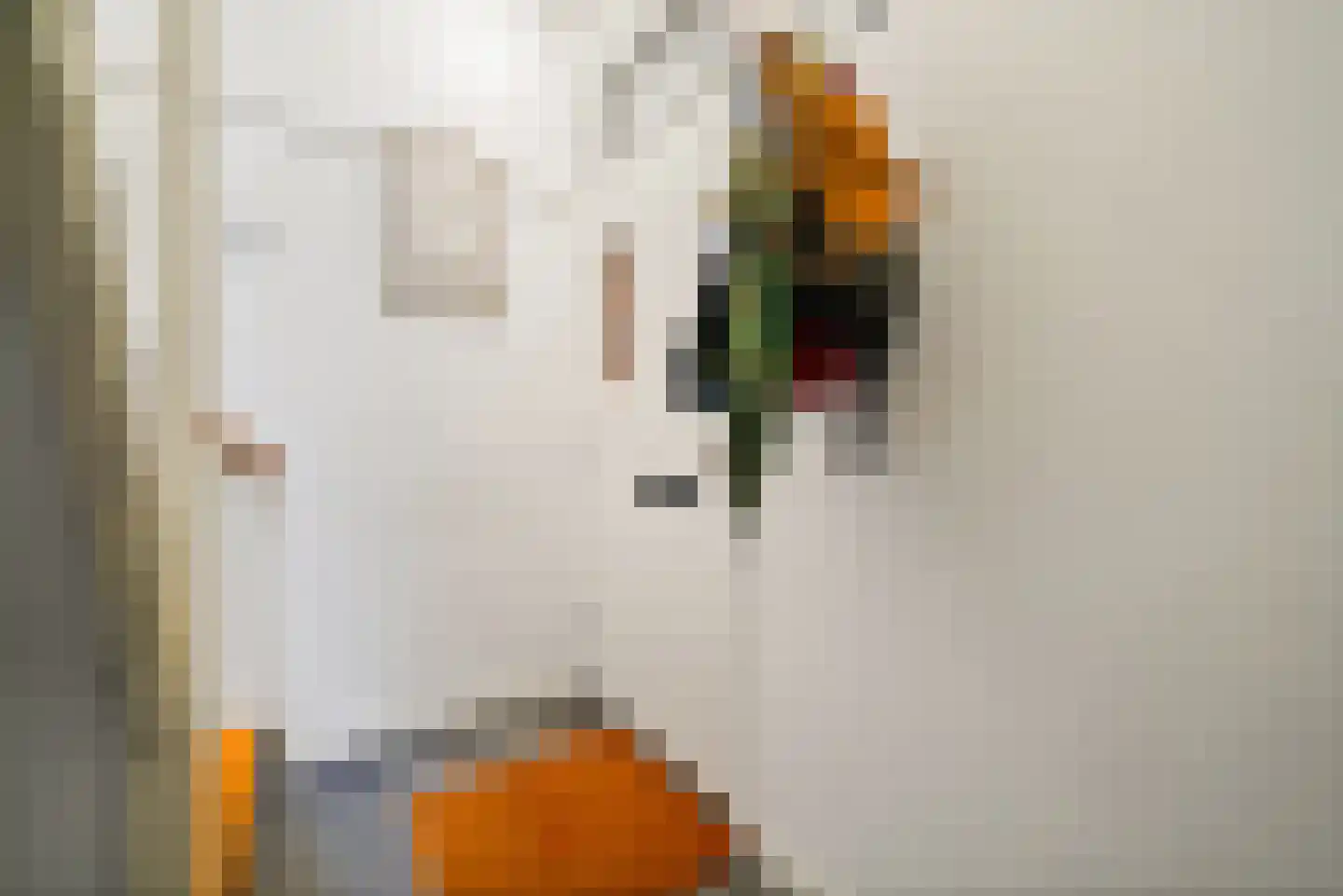 Carel Reinierszkade 299 Den Haag thumbnail 35