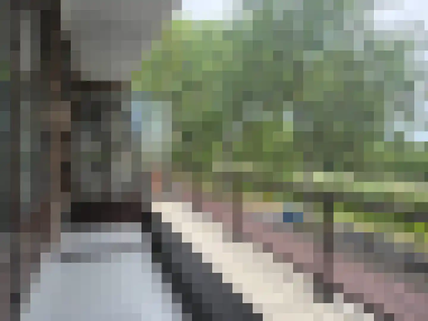 Carel Reinierszkade 313 Den Haag thumbnail 14